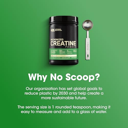 OPTIMUM NUTRITION Micronized Creatine Powder, Unflavoured, 1.2kg