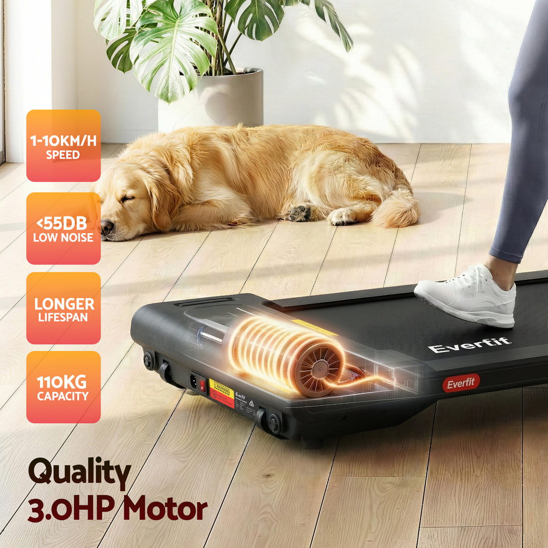 Everfit Walking Pad Treadmill 2 in 1 Foldable Under Desk for Home Gym With 38cm Belt With APP