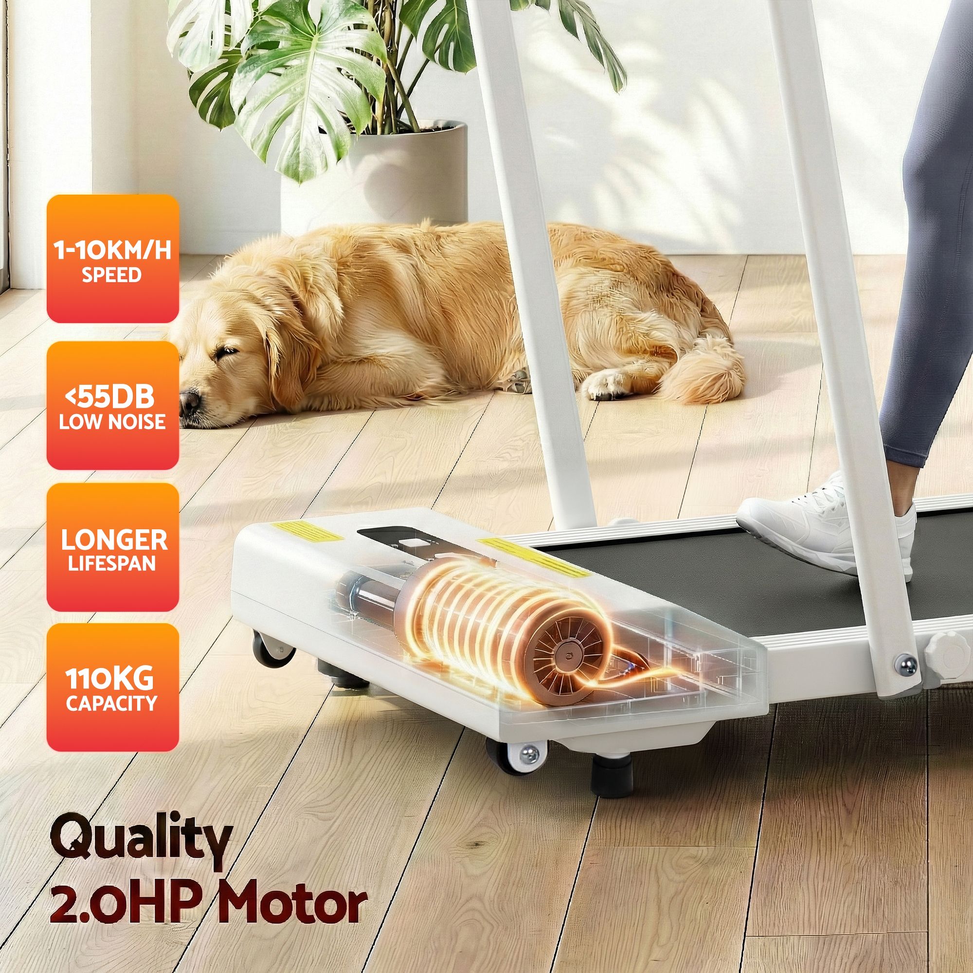 Everfit 2 in 1 Treadmill Electric Walking Pad Under Desk Home Gym Fitness 380mm White